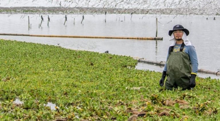 La recuperación del humedal El Cascajo, en Perú: un caso de éxito pro-ambiental